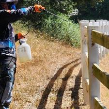 Bringing New Life to a Ranch Fence in Aromas, CA 3