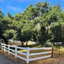 Bringing New Life to a Ranch Fence in Aromas, CA 9